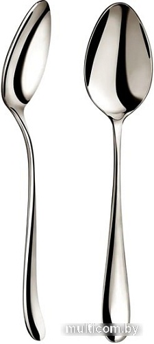 Набор десертных ложек Wilmax Stella WL-999108/2В