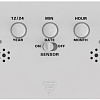 Радиочасы Ritmix CAT-100 (белый)