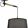 Подвесная люстра F-Promo Eureka 3006-1P