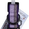 Ошейник Halti Collar XS (фиолетовый)