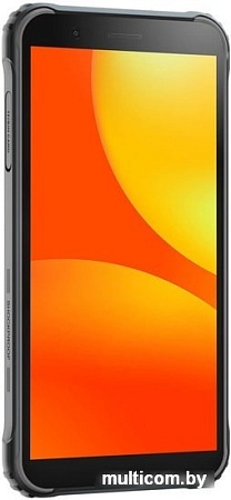 Смартфон Blackview BV4900 Pro (черный)