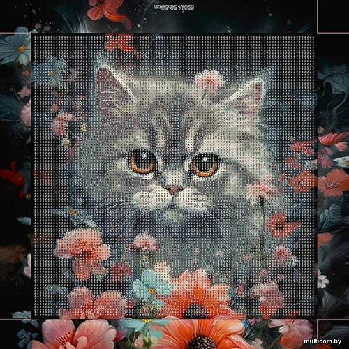 Феникс+ Котик в ночном поле 68614