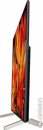 Телевизор Sony KD-85XF8596