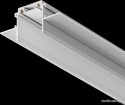 Шинопровод Maytoni Technical Radity TRA084MP-12W