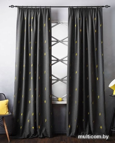 Комплект штор Pasionaria Флэш 290x240 с подхватами (мокрый асфальт)