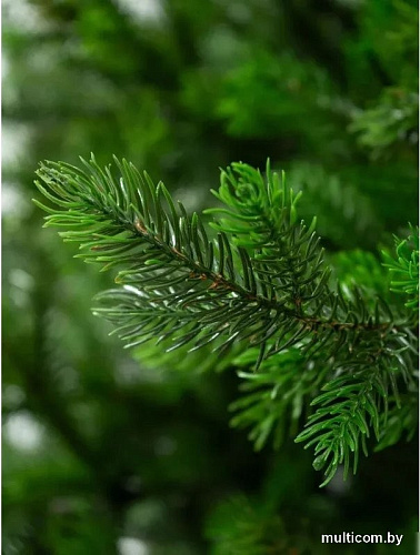 National Tree Company Грация Премиум ГР/ПР-230 2.3 м