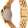 Наручные часы Michael Kors MK3229