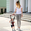 Ходунки Lorelli Step by Step (dark grey)
