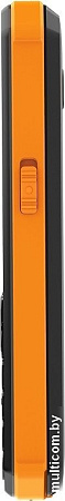 Телефон Xenium X300 (оранжевый/черный)