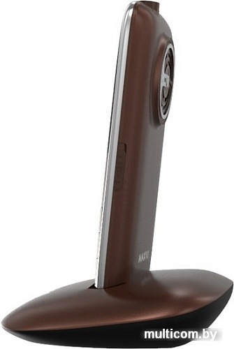 Мобильный телефон Maxvi B10 (коричневый)