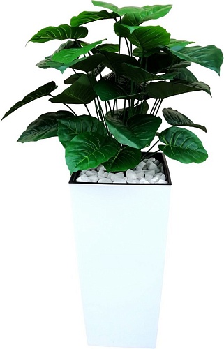 Искусственное растение Forgarden Филодендрон BN11136