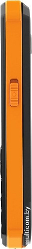 Телефон Xenium X300 (оранжевый/черный)