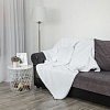Плед Tex Republic TCH SH W 1520 150x200 см (белый)