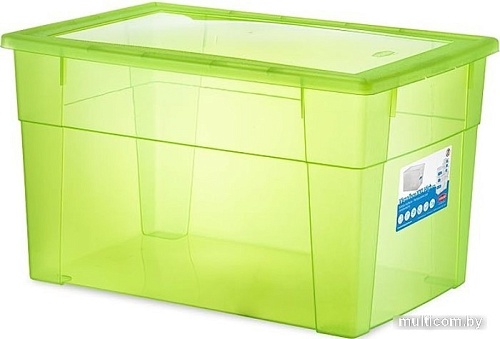 Ящик для хранения Stefanplast 13150 (зеленый неон)