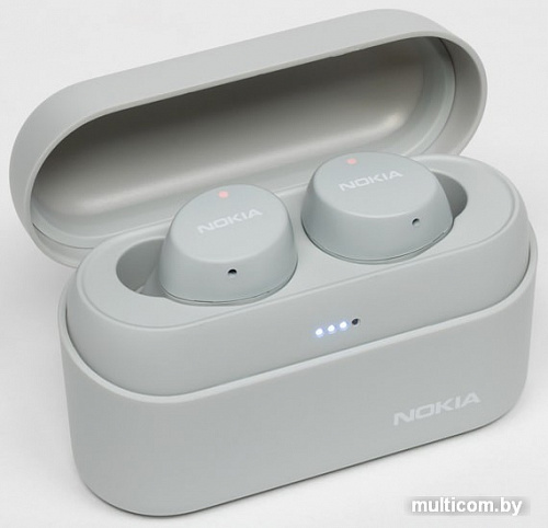 Наушники Nokia Power Earbuds BH-605 (серый)