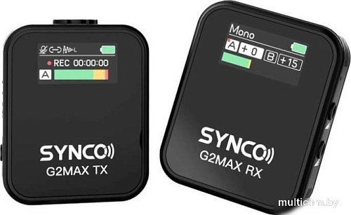 Радиосистема Synco G2(A1) Max