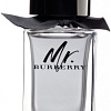 Парфюмерная вода Burberry Mr.Burberry EdP (100 мл)