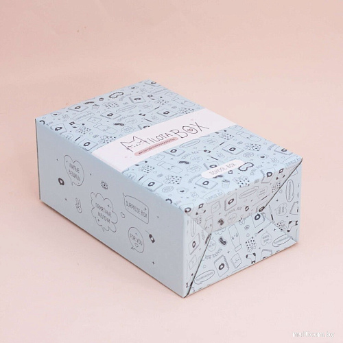 Подарочный набор Milota Box School Mini MBS019