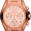 Наручные часы Michael Kors MK5799