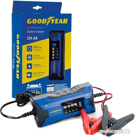 Зарядное устройство Goodyear CH-2A