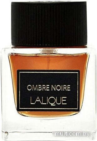 Парфюмерная вода Lalique Ombre Noire EdP (100 мл)