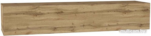 НК-Мебель Point Тип-30 (дуб вотан)