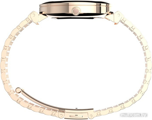 Наручные часы Timex TW2T79200