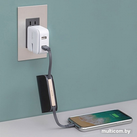Портативное зарядное устройство Moshi IonBank 3K 3200mAh (черный)