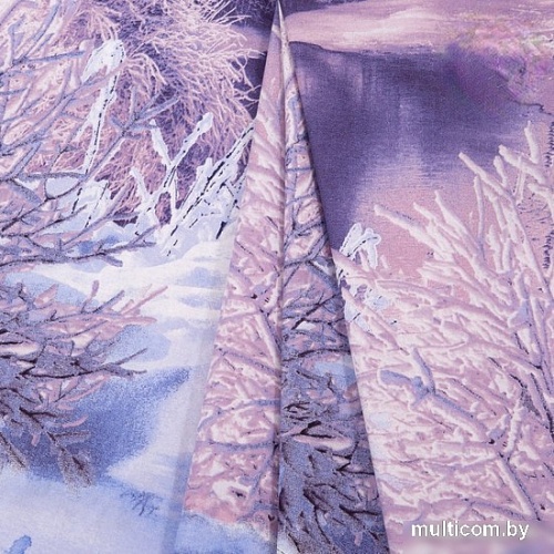 Постельное белье АртПостель Морозное утро 920