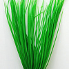 Искусственное растение Barbus Акорус Plant 007/30 (зеленый)
