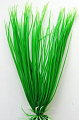 Искусственное растение Barbus Акорус Plant 007/30 (зеленый)