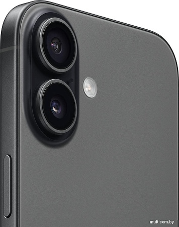 Телефон Apple iPhone 17 Dual eSIM 256GB (черный)