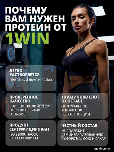 Протеин сывороточный (концентрат) 1WIN Whey Protein (шоколадный пирог, 450г)