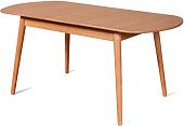 Кухонный стол Мебель-класс Эней (Р-43)
