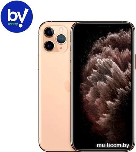 Apple iPhone 11 Pro 64GB Восстановленный by Breezy, грейд A (золотистый)