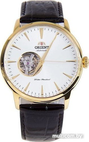 Наручные часы Orient FAG02003W