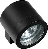 Уличный настенный светильник Lightstar Paro 350617