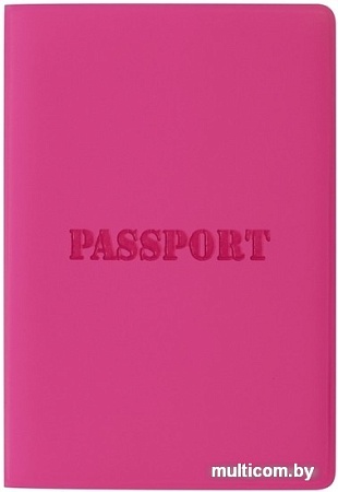 Обложка для паспорта Staff Паспорт 237605