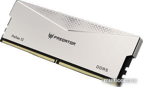 Оперативная память Acer Predator Pallas II 2x16ГБ DDR5 6000 МГц BL.9BWWR.374