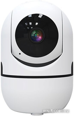 IP-камера SLS CAM-04WFWH