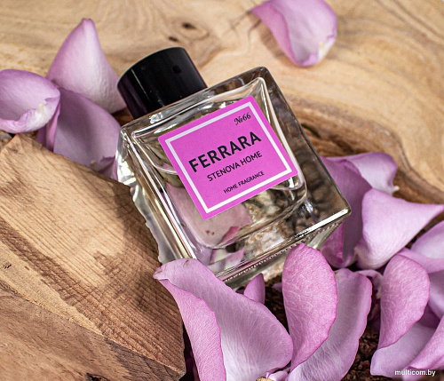 Stenova Home №66 Ferrara 318181 (100 мл)