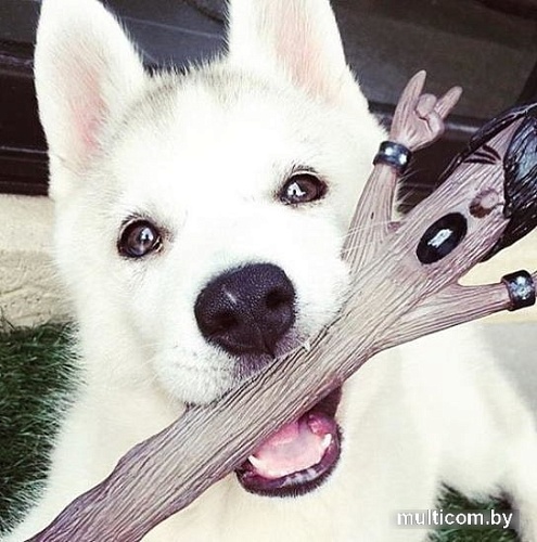 Игрушка для собак Doog Elwood STICK05