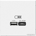 Розетка USB Systeme Electric ArtGallery GAL000129