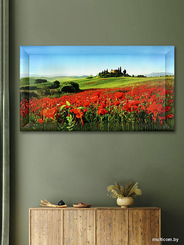 Картина Декарт 8Л3072