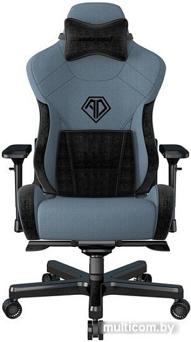 Кресло AndaSeat T-Pro 2 (голубой/черный)