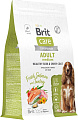 Сухой корм для собак Brit Dog Adult Medium Healthy Skin&Shiny Coat с лососем и индейкой 3 кг