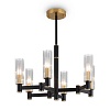 Подвесная люстра Freya Ambra FR5167PL-06B