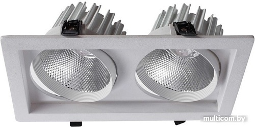 Точечный светильник Arte Lamp Privato A7018PL-2WH