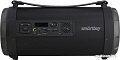 Беспроводная колонка SmartBuy Boom MKII SBS-116