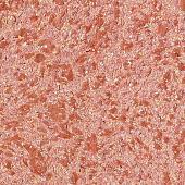 Жидкие обои Silk Plaster South 949